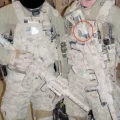 FFI Naszywka SEALS DEVGRU Red Squad "No Easy Day" FFI-1049